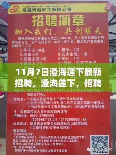 澄海莲下招聘日，遇见小幸运与温情故事