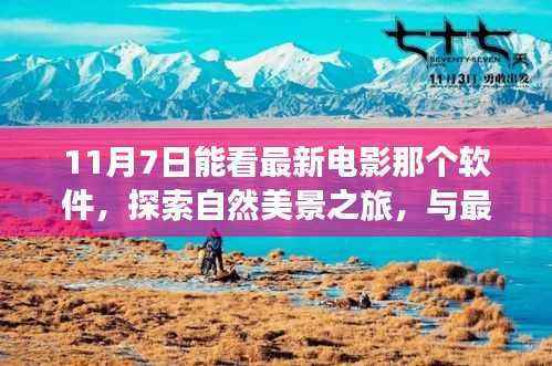 探索自然美景之旅,11月7日最新电影观影指南