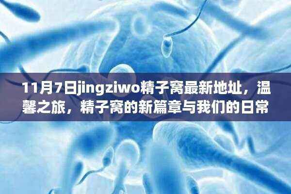 温馨之旅揭秘,精子窝新篇章与日常故事