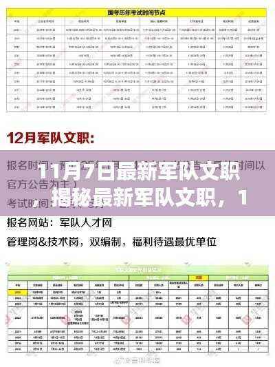 揭秘最新军队文职，机遇与挑战并存，11月7日最新动态解析