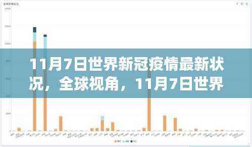 全球视角深度解析,11月7日世界新冠疫情最新状况报告