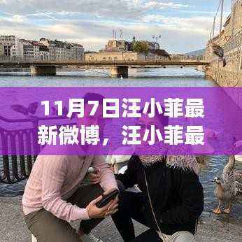 汪小菲最新微博动向,深度解读其在特定领域的地位与影响力