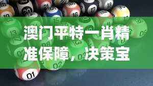 澳门平特一肖精准保障，决策宝典实证推荐_资源版BVO396.85