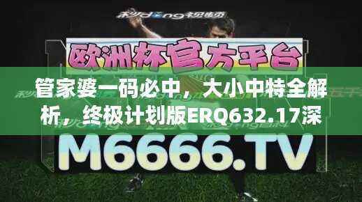 管家婆一码必中,大小中特全解析,终极计划版ERQ632.17深度剖析