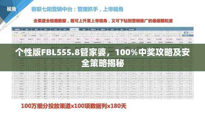 个性版FBL555.8管家婆,100%中奖攻略及安全策略揭秘