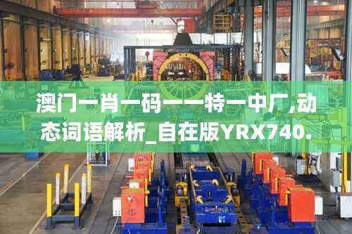 澳门一肖一码一一特一中厂,动态词语解析_自在版YRX740.8