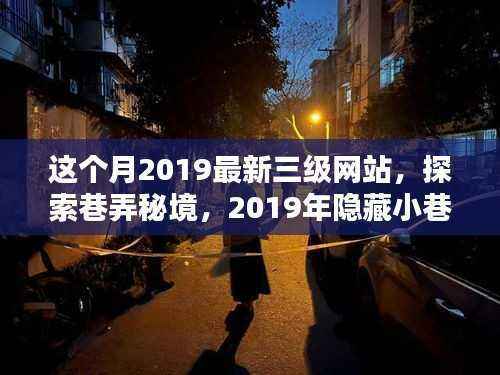 这个月2019最新三级网站,探索巷弄秘境,2019年隐藏小巷中的独特三级网站特色小店