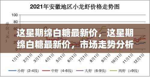 关于我们 第516页