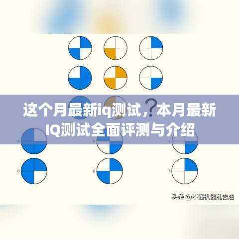 本月最新IQ测试全面介绍与评测报告