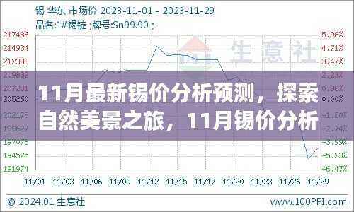 11月锡价分析与自然美景探索,交融心灵平静的奇妙旅程