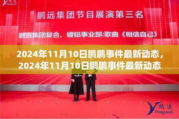 鹏鹏事件最新动态,揭秘真相与进展