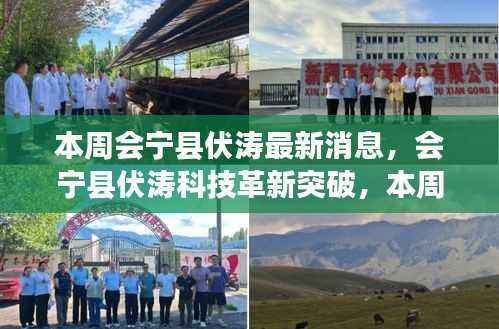 关于我们 第506页