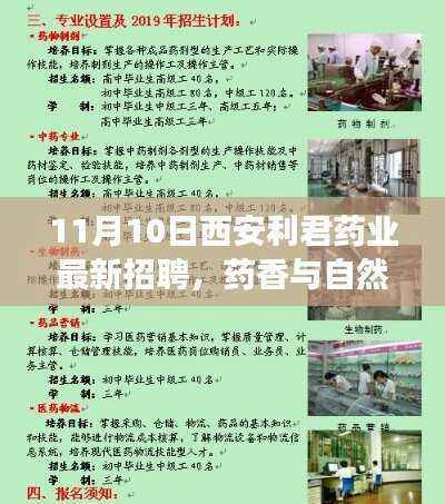 西安利君药业最新招聘，药香与自然的交响，启程心灵之旅之旅
