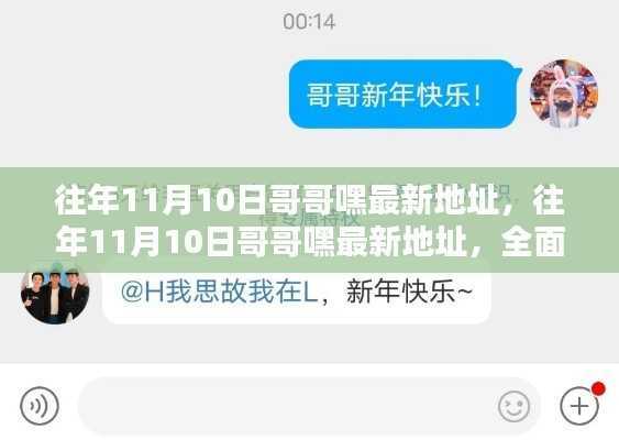 往年11月10日哥哥嘿最新地址,全面评测与详细介绍