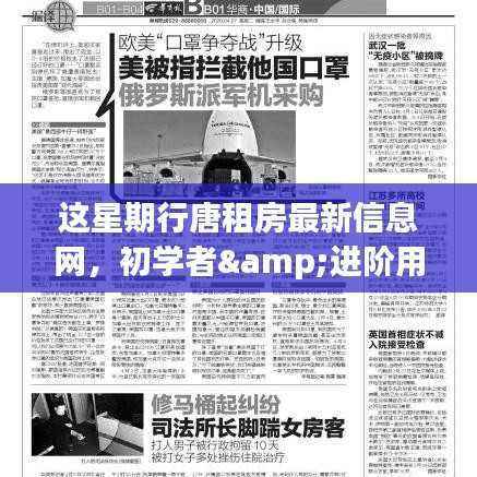 这星期行唐租房最新信息检索与筛选指南,适合初学者与进阶用户参考