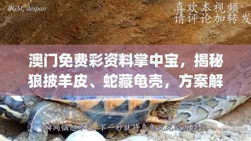 容光焕发 第37页