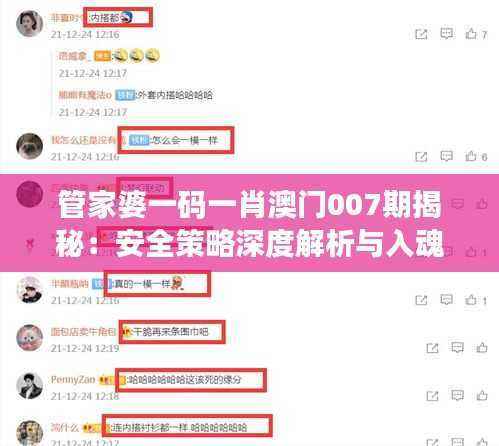 管家婆一码一肖澳门007期揭秘:安全策略深度解析与入魂境AYP304.33探索