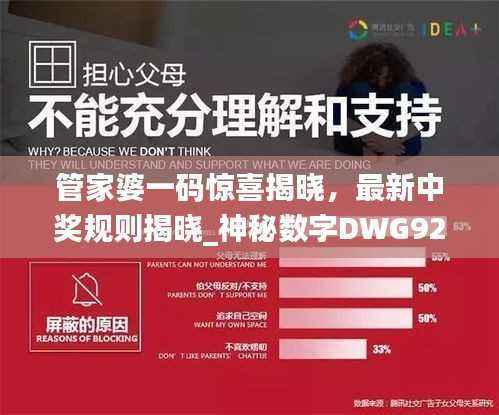 管家婆一码惊喜揭晓，最新中奖规则揭晓_神秘数字DWG923.24