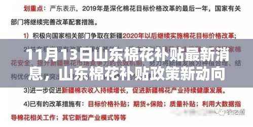 山东棉花补贴政策最新动态解析与观点探讨，11月13日最新消息速递