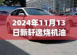 新轩逸烧机油问题解析与应对指南,最新消息及解决方案(2024版)