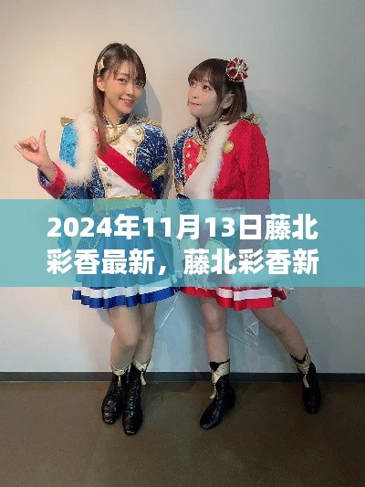 藤北彩香新体验操作指南,2024年11月13日最新指南