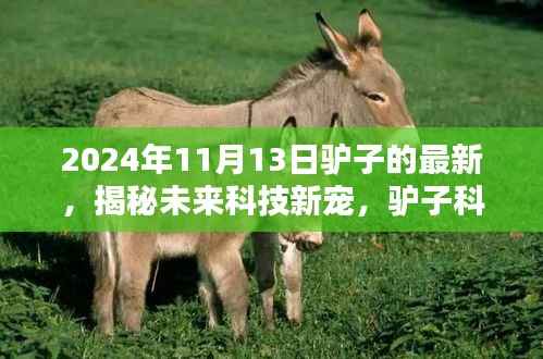揭秘未来科技新宠,驴子科技全新产品体验首发于2024年11月13日
