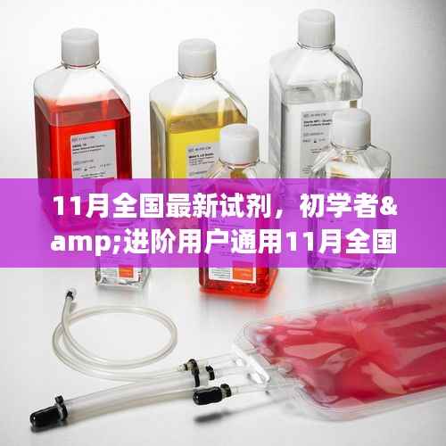11月全国最新试剂使用指南,初学者与进阶用户全流程参考