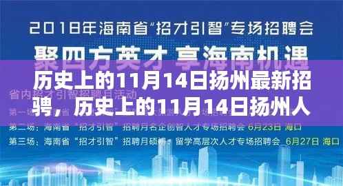 历史上的11月14日扬州人才招聘盛况回顾与最新招聘概览