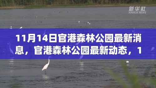 11月14日官港森林公园最新动态深度解读