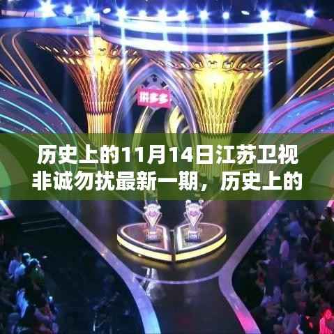 江苏卫视非诚勿扰最新一期全攻略,揭秘历史上的11月14日精彩瞬间!