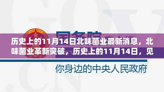 历史上的11月14日,北味菌业革新突破,科技重塑生活
