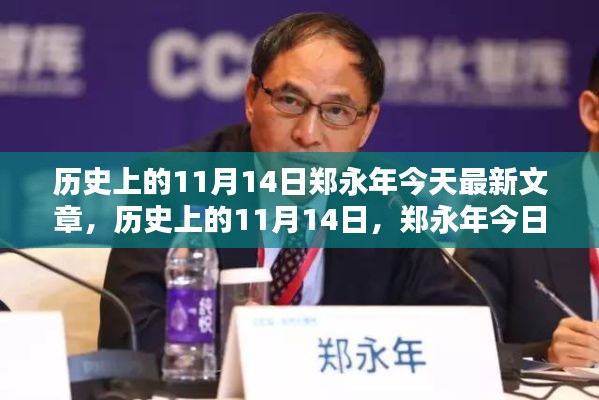 郑永年聚焦热点议题,历史上的11月14日最新文章热议今日焦点
