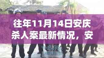 安庆杀人案最新进展与回顾，历年11月14日案件反思
