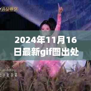 2024年最新GIF图出处产品评测,特性、体验、竞争分析与用户群体深度剖析