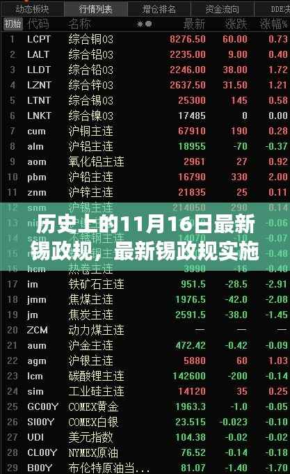 历史上的11月16日,锡政规实施步骤详解与重要变革指南