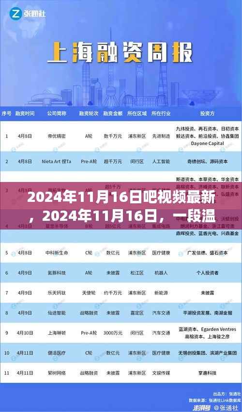 温馨陪伴与欢笑，记录于2024年11月16日的视频故事