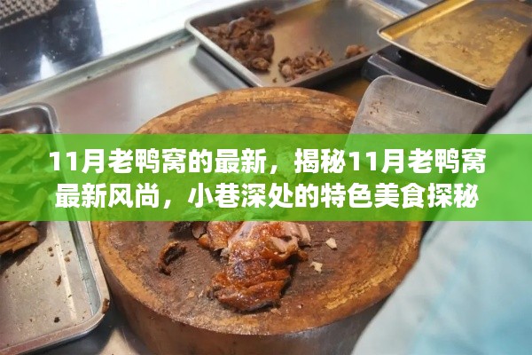 揭秘11月老鸭窝最新风尚,小巷深处的特色美食探秘之旅