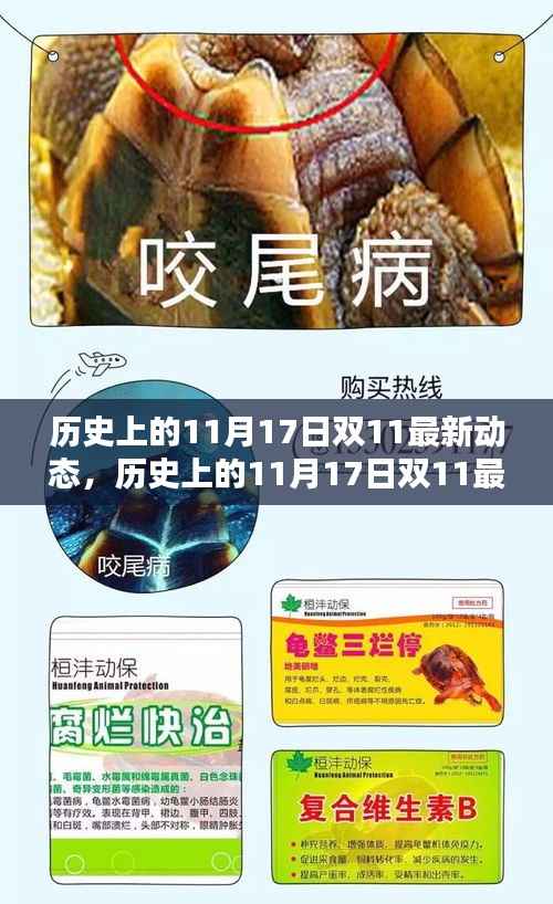 历史上的双11动态概览，揭秘双11最新动态与变迁的历程