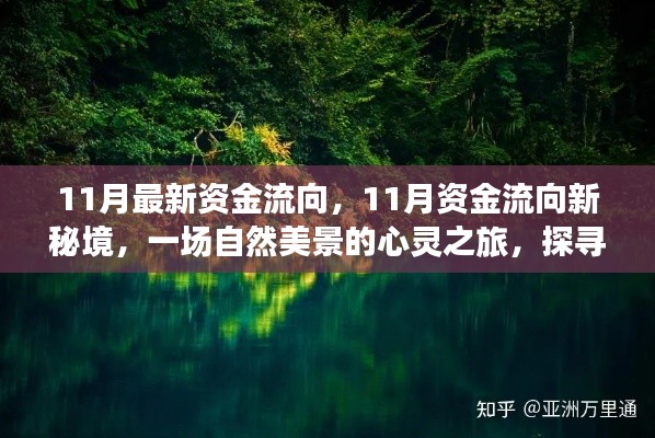 探寻自然美景的心灵之旅,揭秘最新资金流向与宁静平和的内心秘境