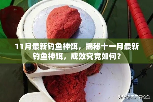 揭秘,十一月最新钓鱼神饵,效果如何?试用体验报告