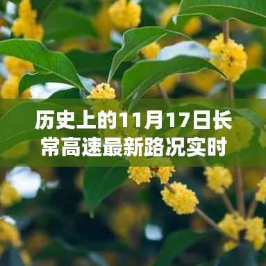 历史上的长常高速,探寻秋日宁静与内心平和的旅行实时路况更新