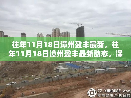 漳州盈丰最新动态深度解析,聚焦往年11月18日的观点与进展