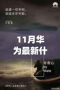 华为新品十一月破晓,背景、事件与深度影响的全面解析