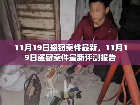 最新评测报告,11月19日盗窃案件详解