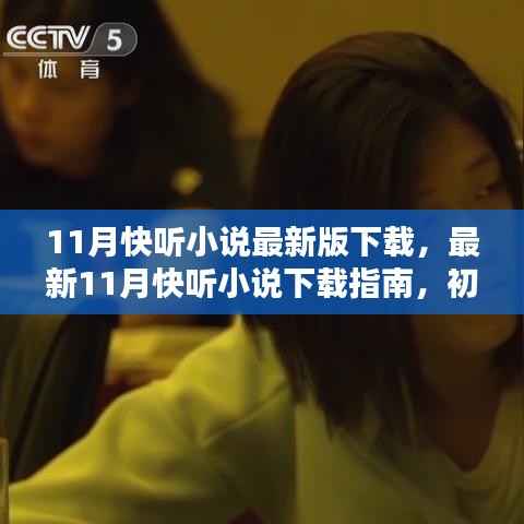 最新指南,11月快听小说下载教程,从初学者到进阶用户的详细步骤
