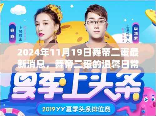 舞帝二蛋最新动态,温馨日常与快乐时光(2024年11月19日)