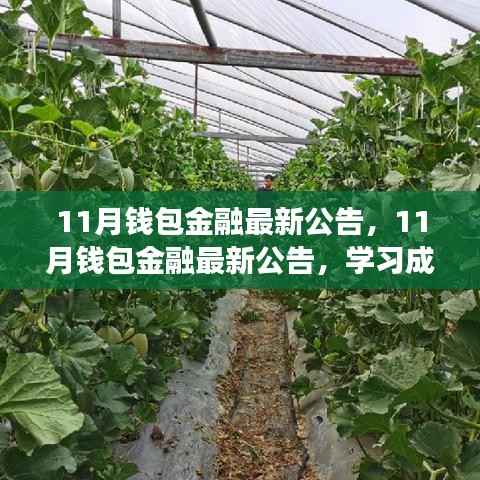 钱包金融最新公告，共创金融新篇章，学习成长之路与你同行