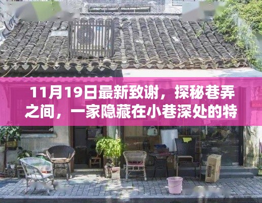 巷弄深处的温馨小店,11月19日最新致谢探秘