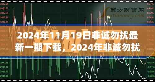 2024年非诚勿扰最新一期深度解读与下载指南