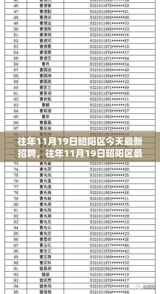 往年11月19日昭阳区招聘活动深度解析，特性、体验、竞品对比及用户洞察